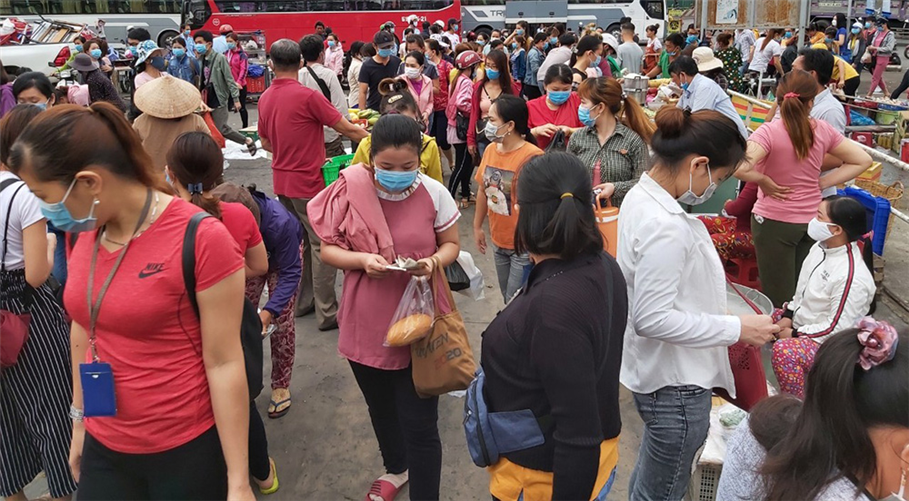 TP.HCM triển khai hướng dẫn khởi tố vi phạm trong lĩnh vực bảo hiểm xã hội